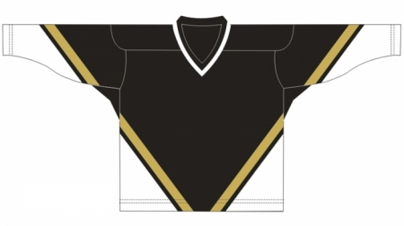 Pittsburgh Penguins 