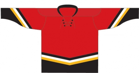 Calgary Flames