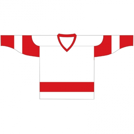 Detroit Red Wings 